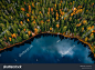 stock-photo-aerial-view-of-fall-colour-forest-and-blue-lake-in-finland-beautiful-autumn-landscape-2198785957