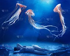 水母,舞蹈,三只动物,在下面,水,女人,水平画幅,蓝色,户外,海底