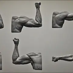 肌肉结构_画集编号:848_游戏CG、手绘插画、游戏原画_千画网588art.com