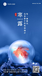 寒露节气秋天你好祝福问候手机海报