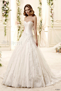 Colet 2015 Wedding Dresses(一)