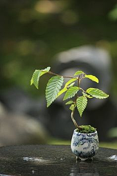 树188采集到一切世间美好