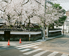 Seiwachan采集到❤小小旅行家❤