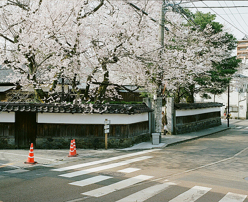 日本 和风