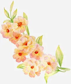 手绘花卉婚纱摄影高清素材 婚纱 摄影 花卉 免抠png 设计图片 免费下载