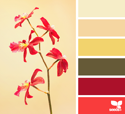flora palette 201402...