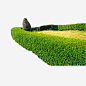 园林花草树木花束花卉_新图网 https://ixintu.com 建筑绿化装饰绿色植物红花