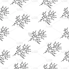 无缝模式。可爱的手绘图形花卉和草本元素。涂鸦矢量插图为婚礼设计，标志和贺卡。