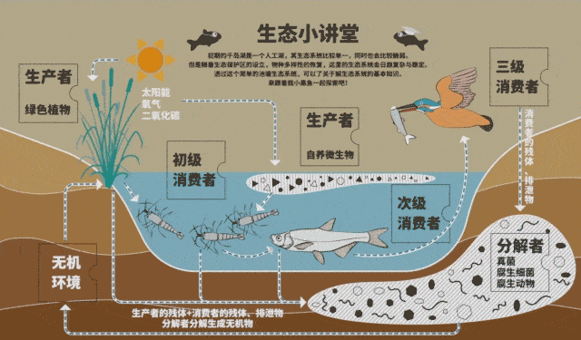 年年有鱼 | 杭州千岛鲁能胜地小黑鱼儿童...