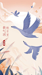 白露
