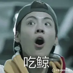 #偶练  毕雯珺   吃鲸珺  表情包