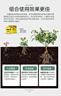 史丹利大量元素水溶肥冲施肥蔬菜复合肥料高钾通用型氮磷钾水溶肥-tmall.com天猫