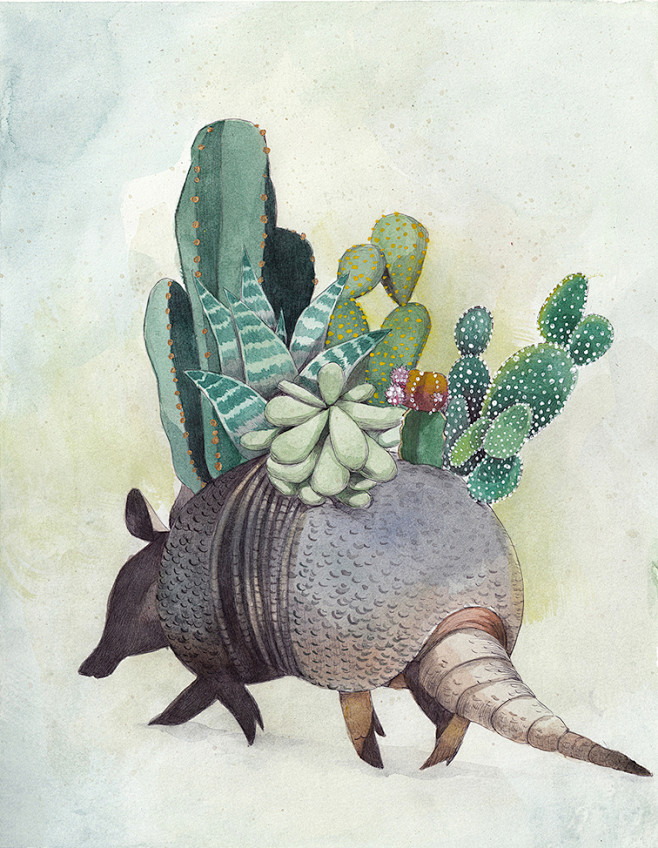 armadillo_sm