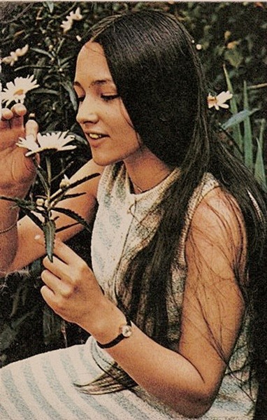 奥丽维娅赫西oliviahussey