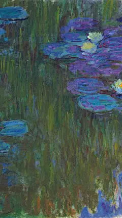 整理了几张莫奈作品的手机壁纸尺寸，喜欢的就自取吧！颜色是真的美啊~