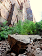 ?美国峡谷行 2 – 壁立千仞无欲则刚Zion National Park?              小时候作文写的不错，常被语文老师当范文读。现在想想，不过是信手拈来些名言警句，诗词歌赋，比喻排比，等等等等。其中有一句我就常用：海纳百川，有容乃大；壁立千仞，无欲则刚。我的老家在海边，每年寒暑假都会到海边的祖父身边，所以对海的无边无量是深有体会的。可是高山对我来说，却是非常模糊的。长大在福建山区，都是平缓的丘陵；工作后去旅游，武夷庐山黄山，虽也是高山仰止，但还是多偏于秀美婉约。我就常在想，刚烈的壁立千仞