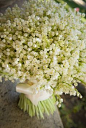 Amazing amount of lily of the valley. Just imagine the fragrance!!