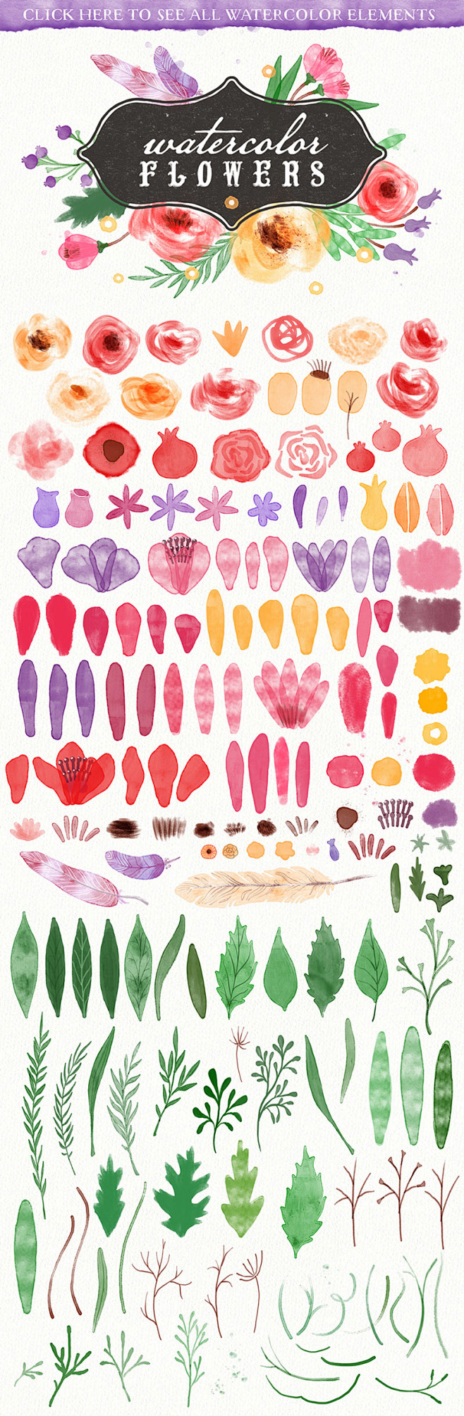 Mega Bundle: Illustr...