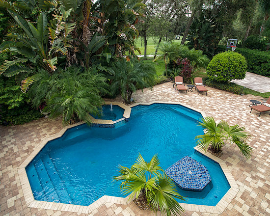 Tropical Pool Design...