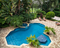 Tropical Pool Design Ideas, Pictures, Remodel & Decor