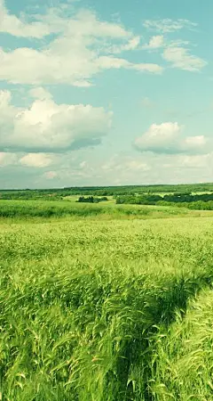 清新唯美的田园风光小清新壁纸