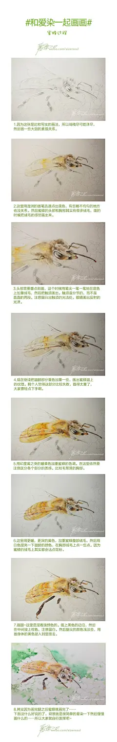 -插画家园-插画家园爱染的画画教程~-插画家园画啊画，画只小蜜蜂~嗡-插画家园