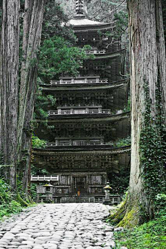 我叫第一名采集到场景