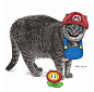 #插画 #14种超形象猫插画
maricat、supercat、chopcat……在北京插画师A KE画笔下，猫们化身各种形象，猫趣横生。