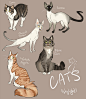Catsss by 1skylight1.deviantart.com on @deviantART ✤ || CHARACTER DESIGN REFERENCES | キャラクターデザイン |  • Find more at https://www.facebook.com/CharacterDesignReferences & http://www.pinterest.com/characterdesigh and learn how to draw: concept art, bandes
