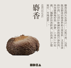 Microcosm77采集到产品页