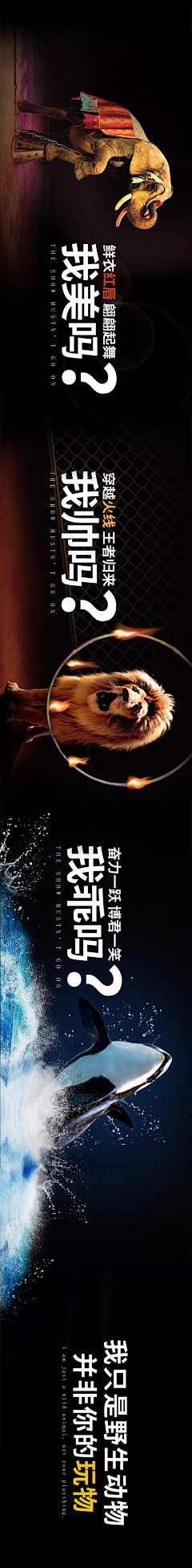 徐少寒采集到别人的P