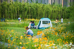 0反面的反面的反面还是反面0采集到露营