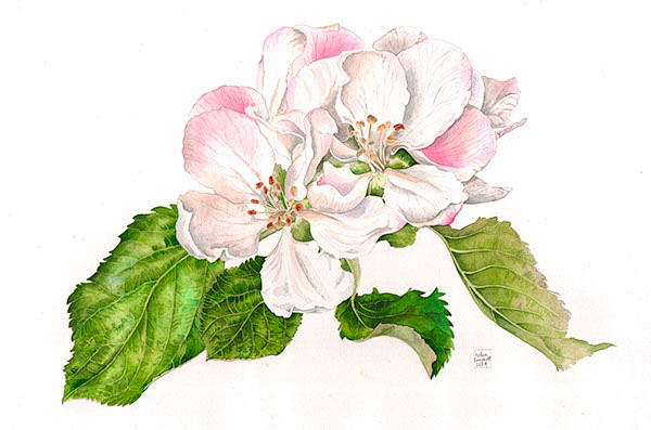 Helen Campbell on Be...