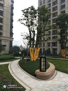 豆丁123采集到花钵&树池