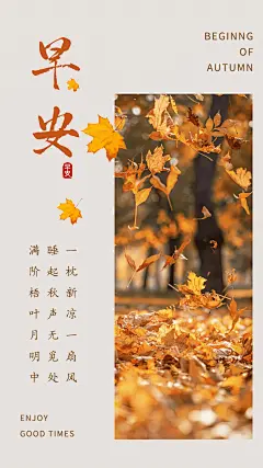 简约实景早安问候