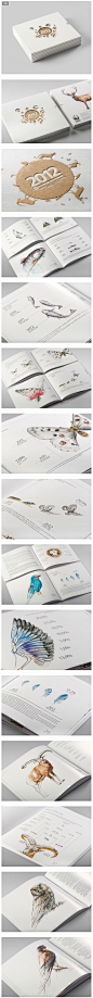 Prometey Bank Annual Report 2013 — Backbone Stud 设计圈 展示 设计时代网-Powered by thinkdo3