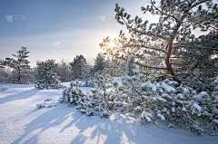 7ASBv6ZS采集到雪景