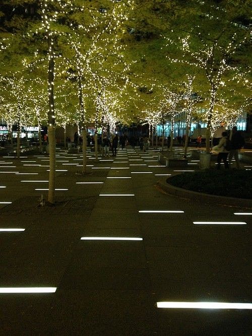 Visit City Lighting ...