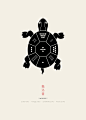 A Turtle Explains The World