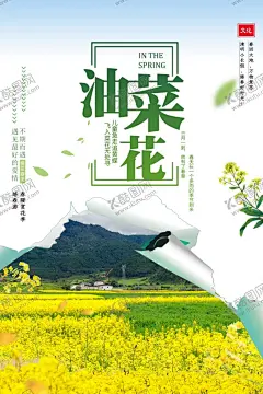 油菜花 【酷图网】油菜花,油菜花节,醉美油菜花,婺源油菜花,油菜花海报,油菜花背景,油菜花喷绘,油菜花广告,油菜花宣传,油菜花旅游,油菜花素材,油菜花设计,油菜花外景,油菜花展,油菜花花海,油菜花照相,油菜花种植,油菜花策划,油菜花活动,油菜花旅行,旅游,油菜节,油菜花写真,油菜花之旅