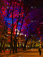 秋天的夜晚小巷被美丽多彩的灯笼照亮。莫斯科城市夜景。莫斯科,俄罗斯