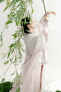 苔藓球球采集到古装