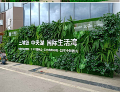 小白向往阳光采集到绿植墙