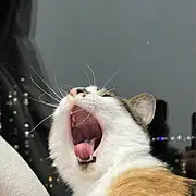 浮生流年＂悦然相守ζ