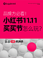 品牌方必看！9 图解读如何踩准小红书双十一节奏