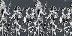 鸢尾花无缝图案。手绘墨水插图。墙纸或织物设计。