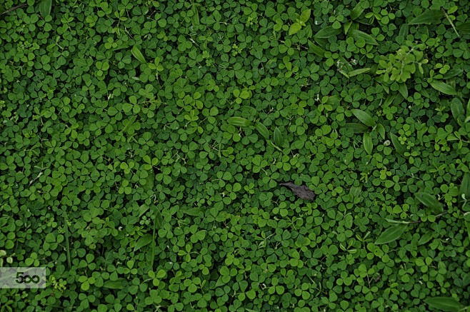b thottoli在 500px 上的...