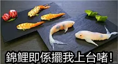 锦鲤表情包