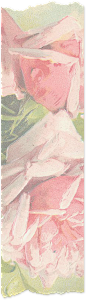 欧式复古古典唯美花卉纹理蕾丝免抠PNG图案 手账设计PS素材 (131)