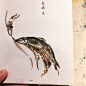 皇小小的微博_微博